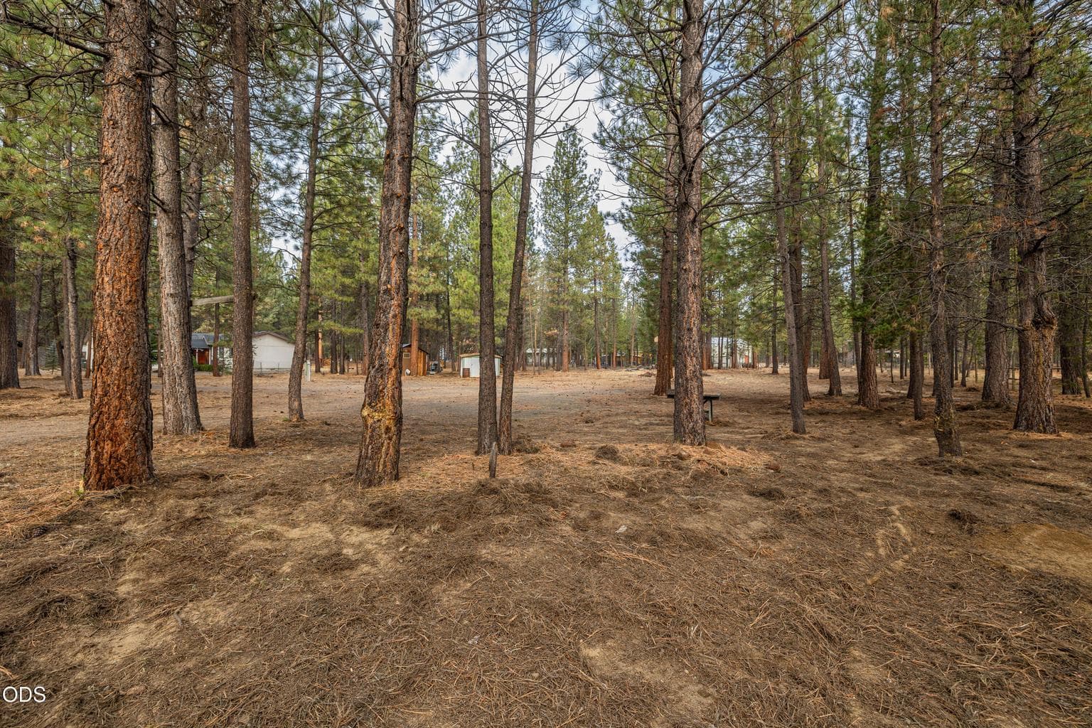 Photo of 15876 Old Mill Road 10 of 24