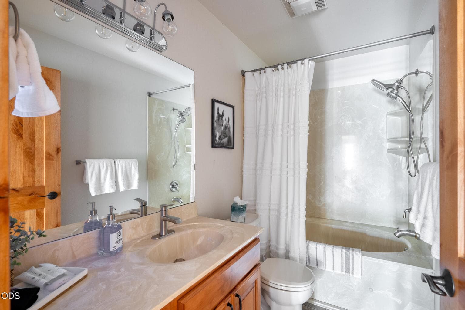 Guest / Second full bathroom