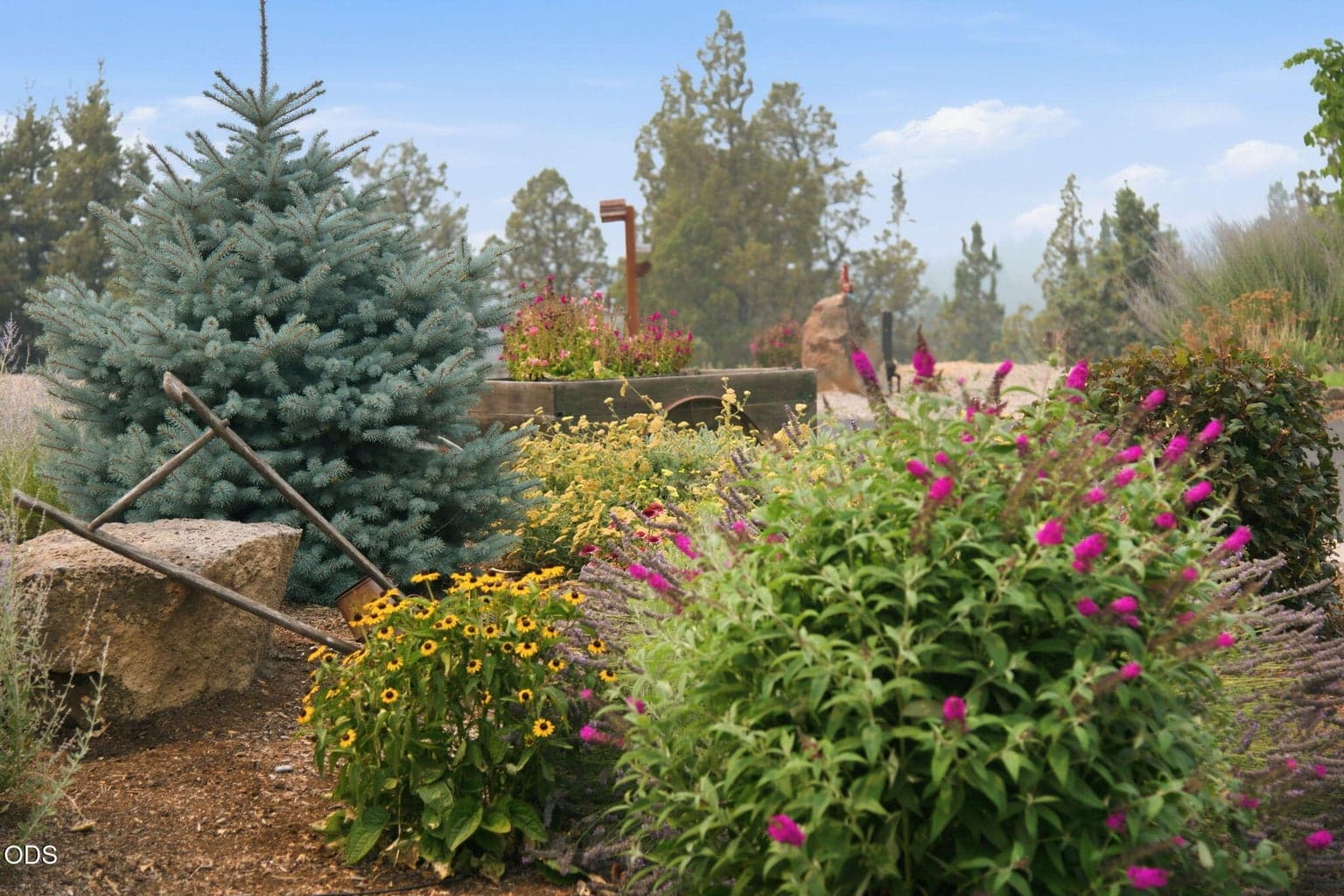 Beautiful mature landscaping