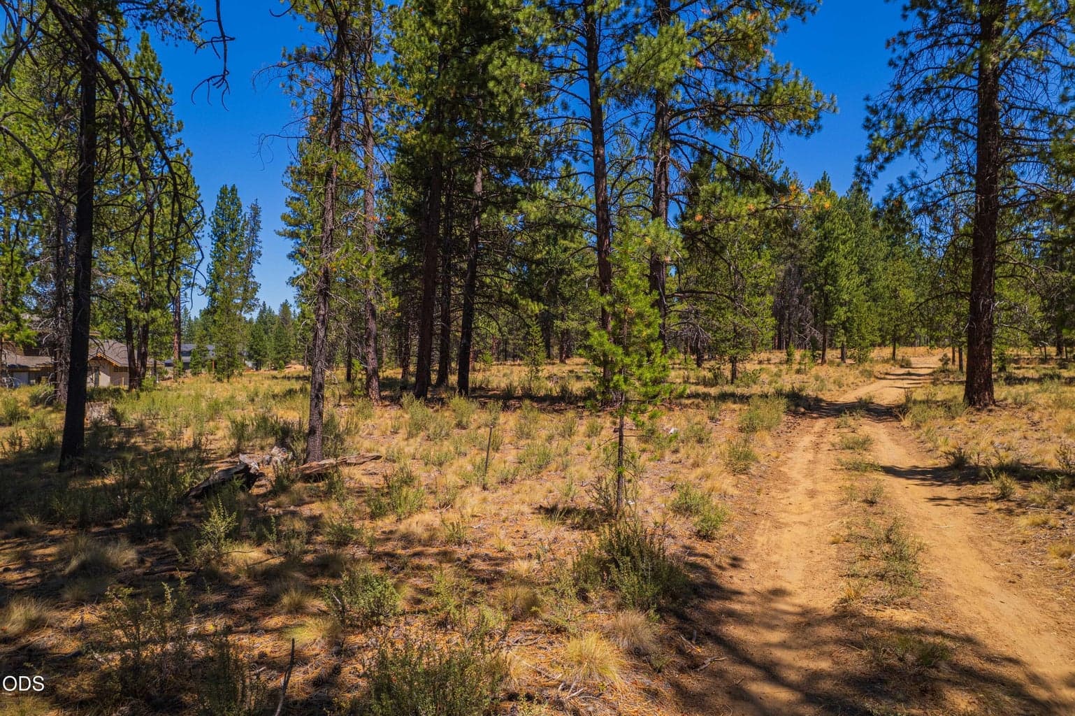 Classic Caldera Springs scenery surrounds the homesite, with mature pines, natural vegetation and room to envision indoor-outdoor living in the forest.
