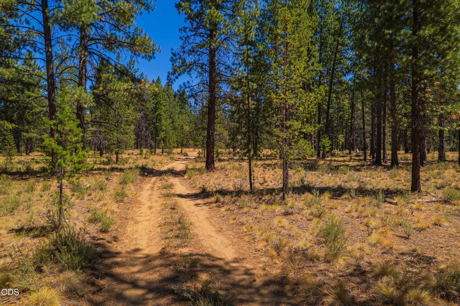 Step onto the property and imagine the possibilities. Open forest floor and scattered mature trees create a beautiful Central Oregon backdrop for a thoughtfully designed home.
