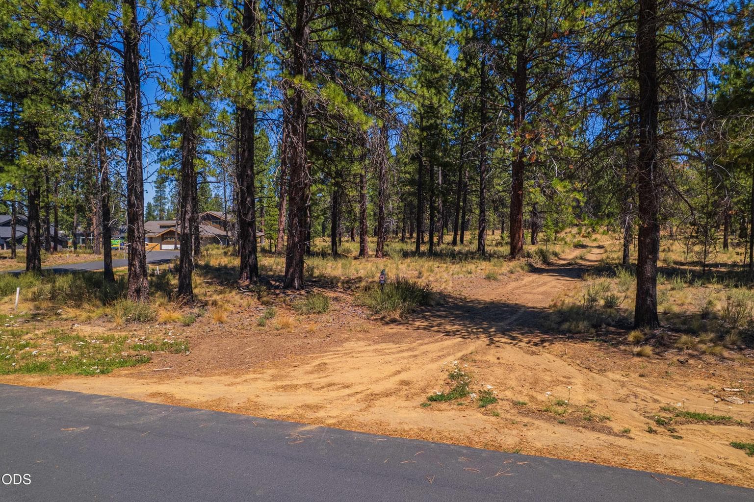 Street-level perspective shows the homesite frontage along Mirror Rock Loop and its setting among established Caldera Springs residences.