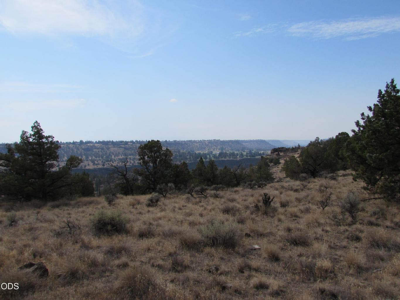 Photo of Park Lane 3 of 22
