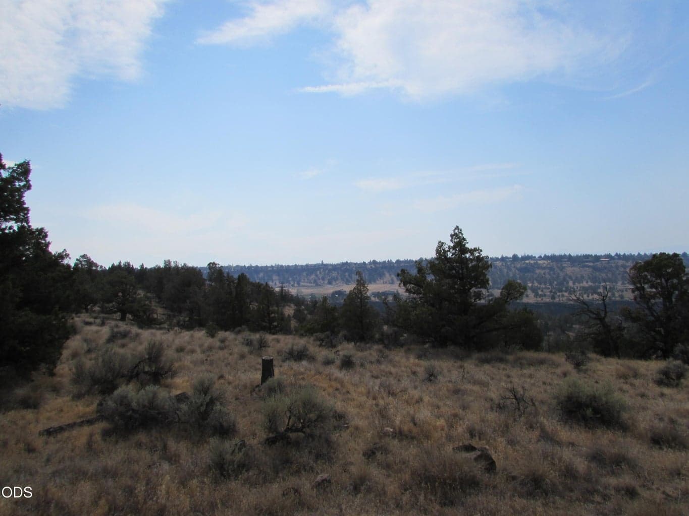 Photo of Park Lane 2 of 22