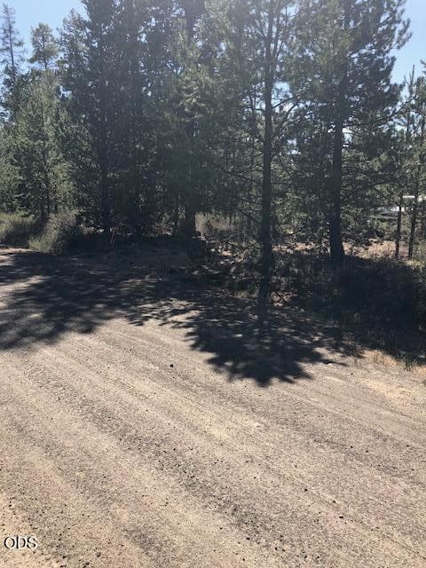 Photo of 55165 Tamarack Road 1 of 2