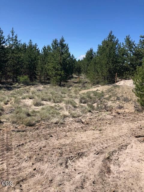 Photo of 55165 Tamarack Road 2 of 2