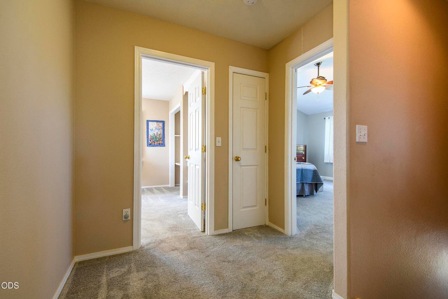 Upstairs hallway to Primary Suite and BR #1