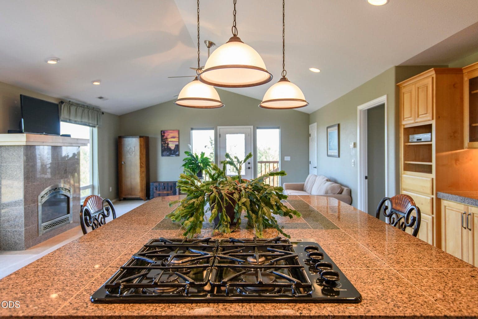 Multi-generational living area