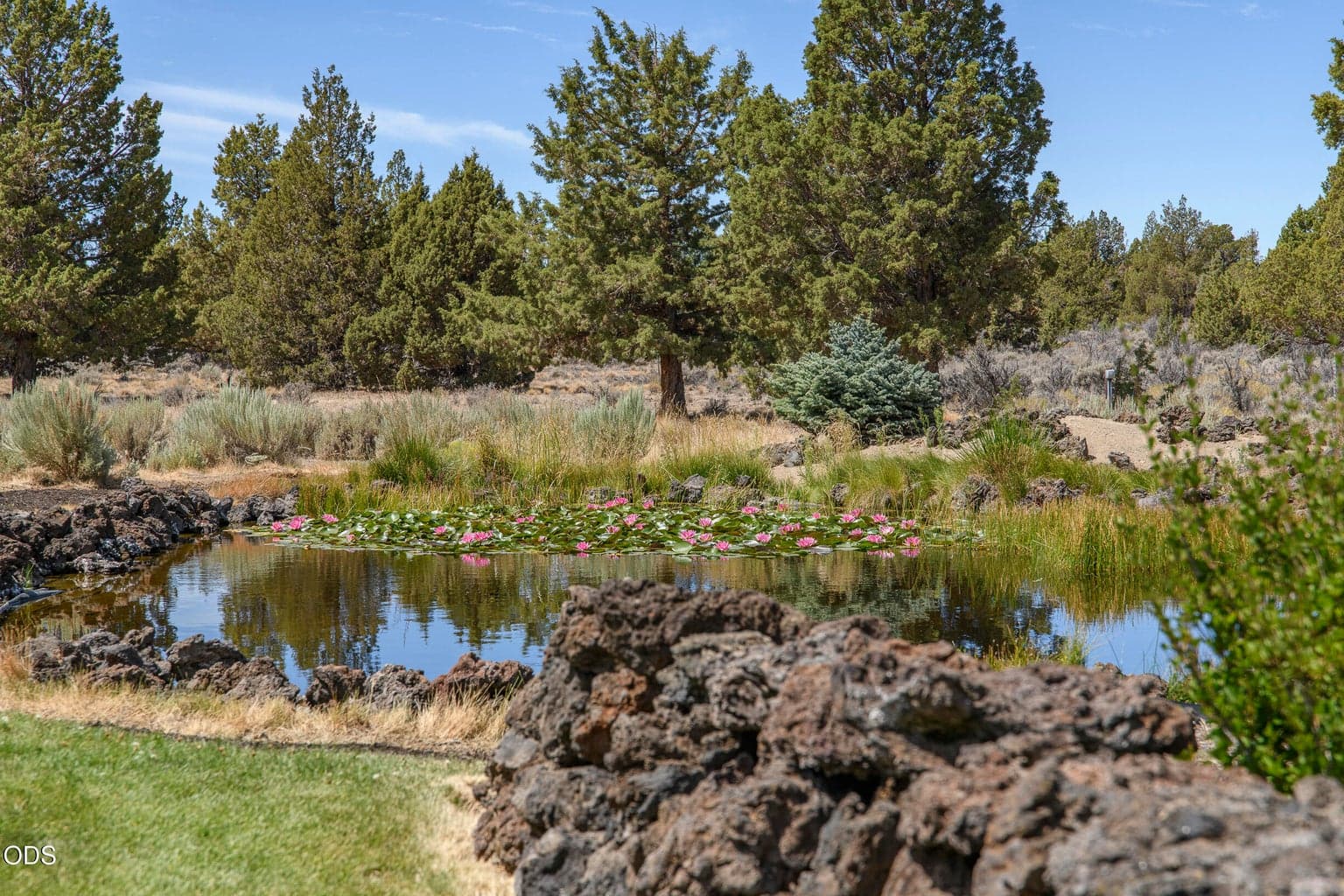 Rock wall leading to pond