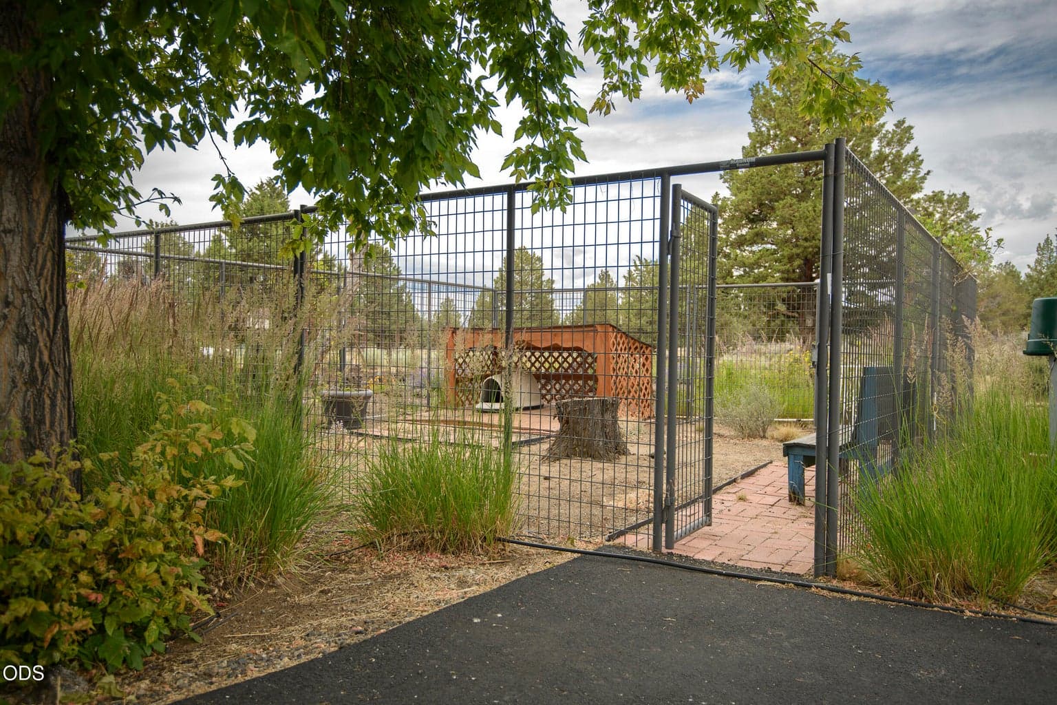 Dog Kennel