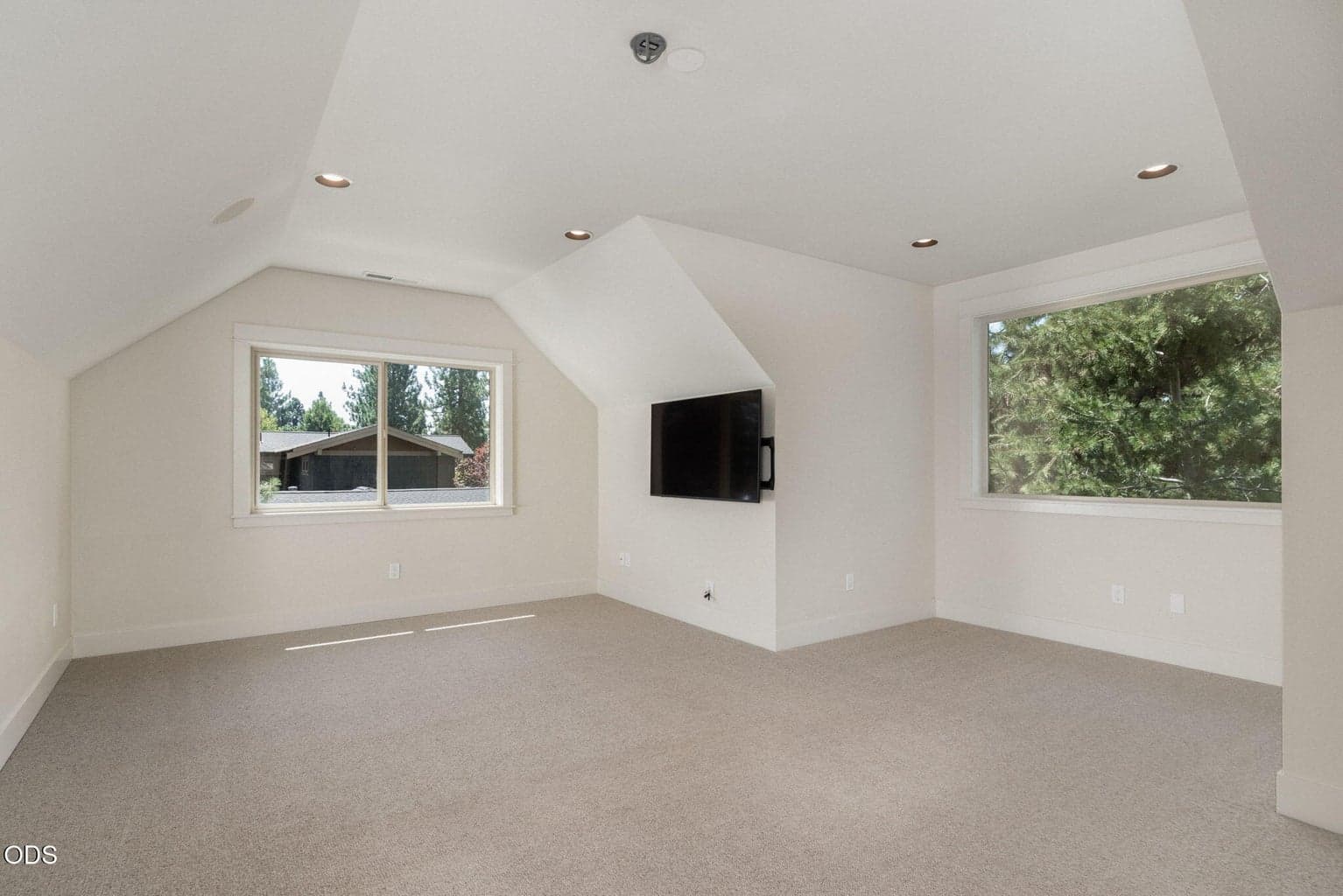 Bonus Room with Closet and Laundry
