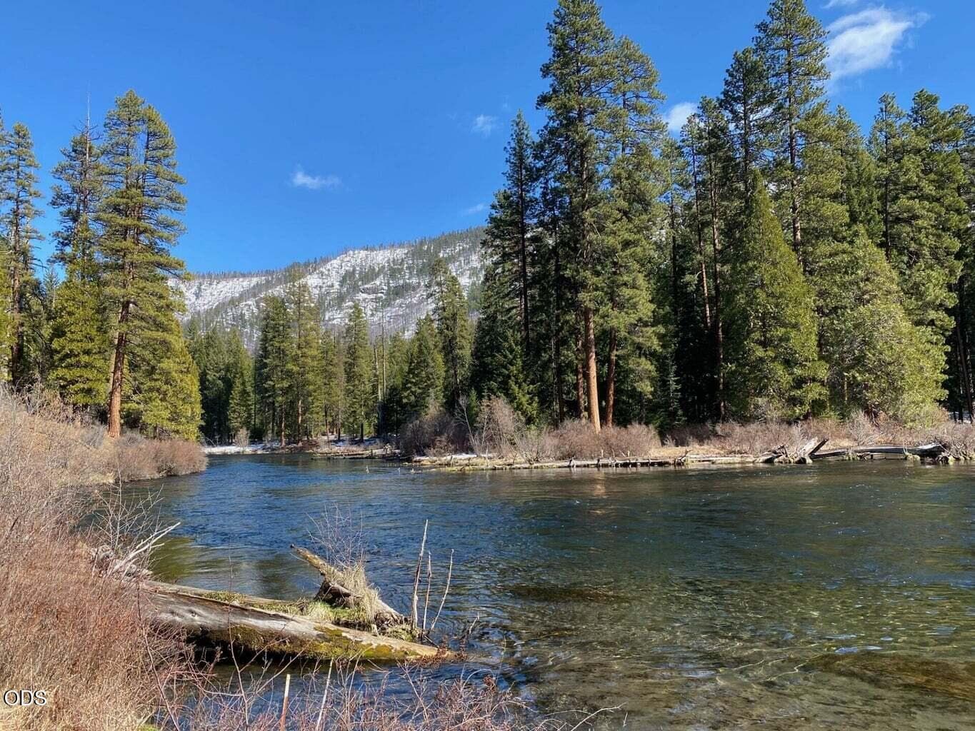 Solitude along the river