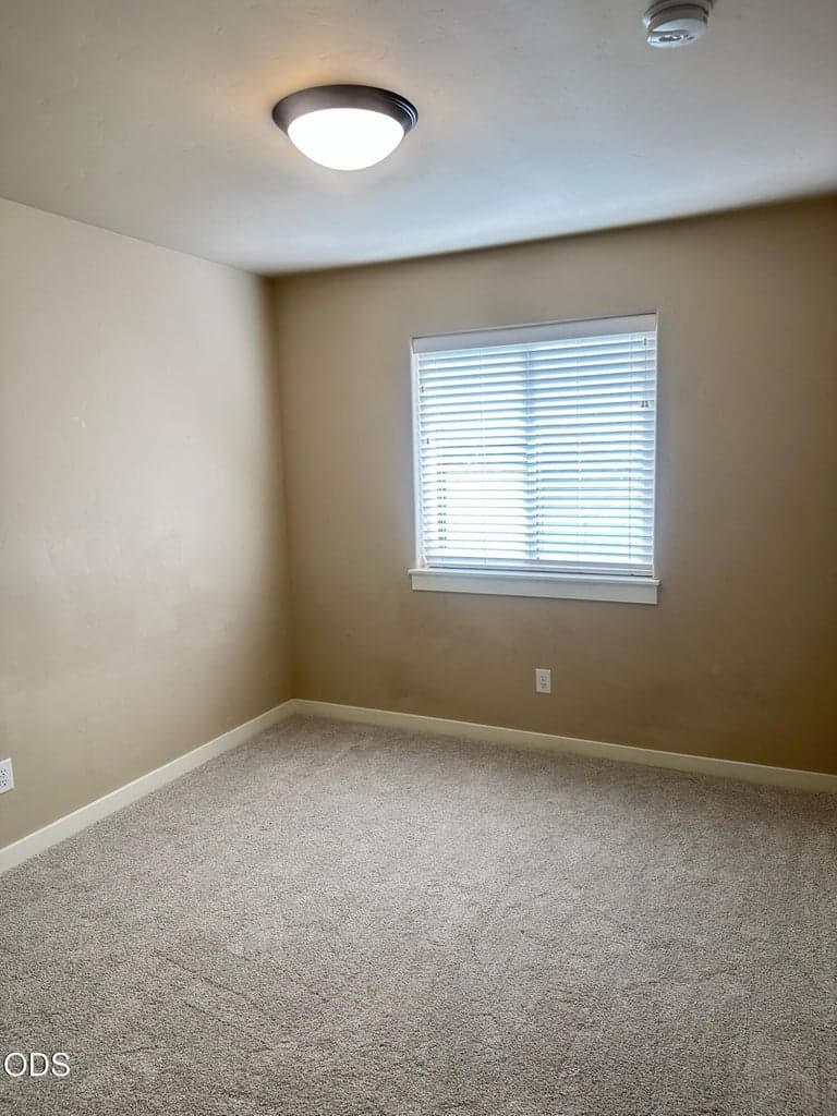 View of one of the bedrooms vacant with the new carpeting.