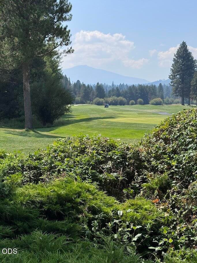 Golfing at Black Butte