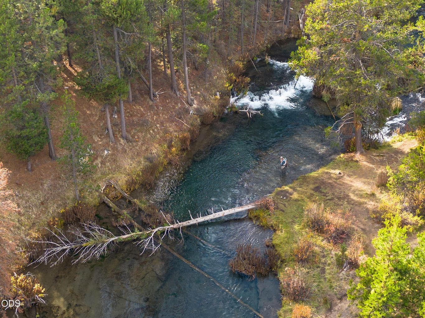 Photo of 15150 Yellow Pine Loop 3 of 31