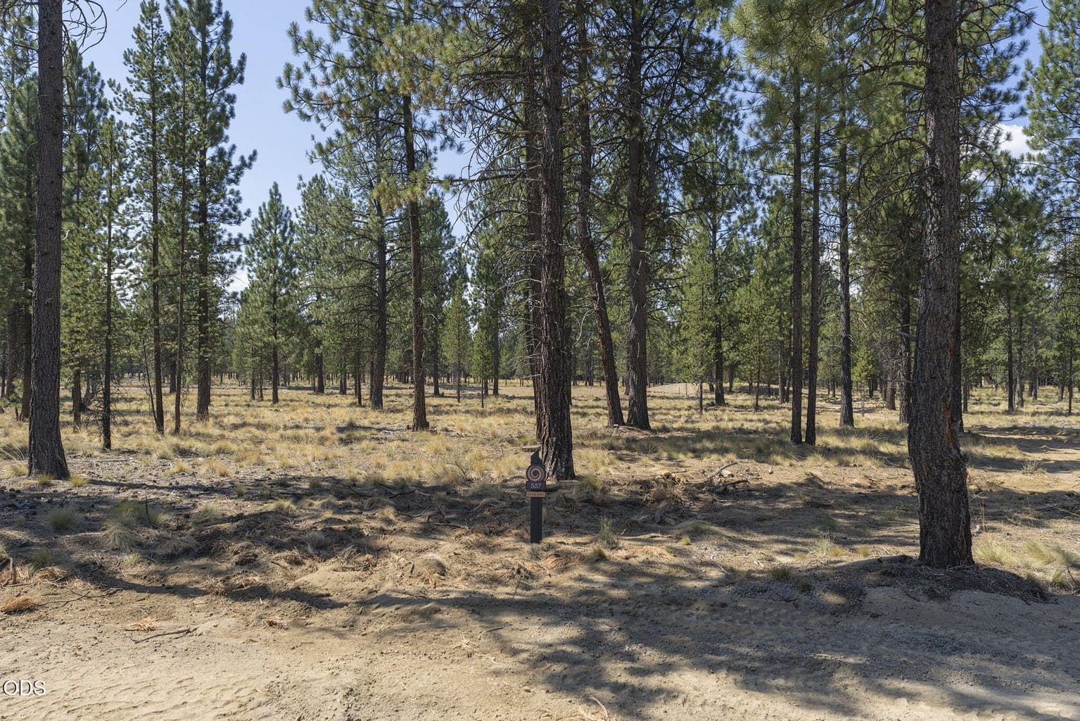 Photo of 56686 Red Bark Lane 3 of 27