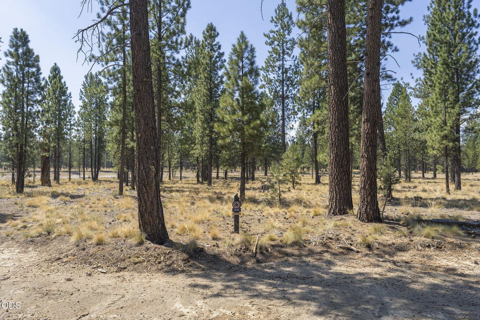 Photo of 56680 Red Bark Lane 2 of 29