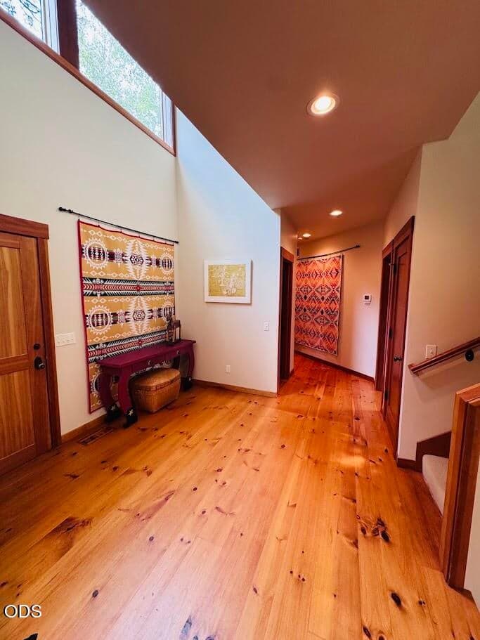 Photo of 70535 Salal 8 of 55