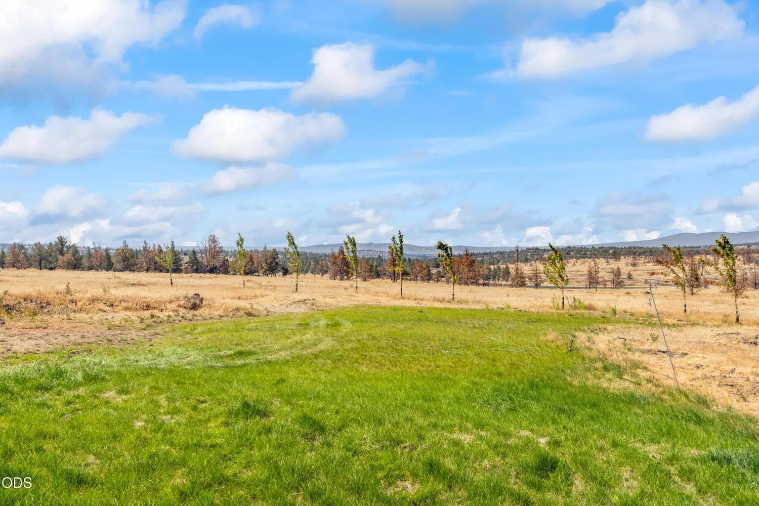 Photo of 9323 SE Odessa Road 32 of 38