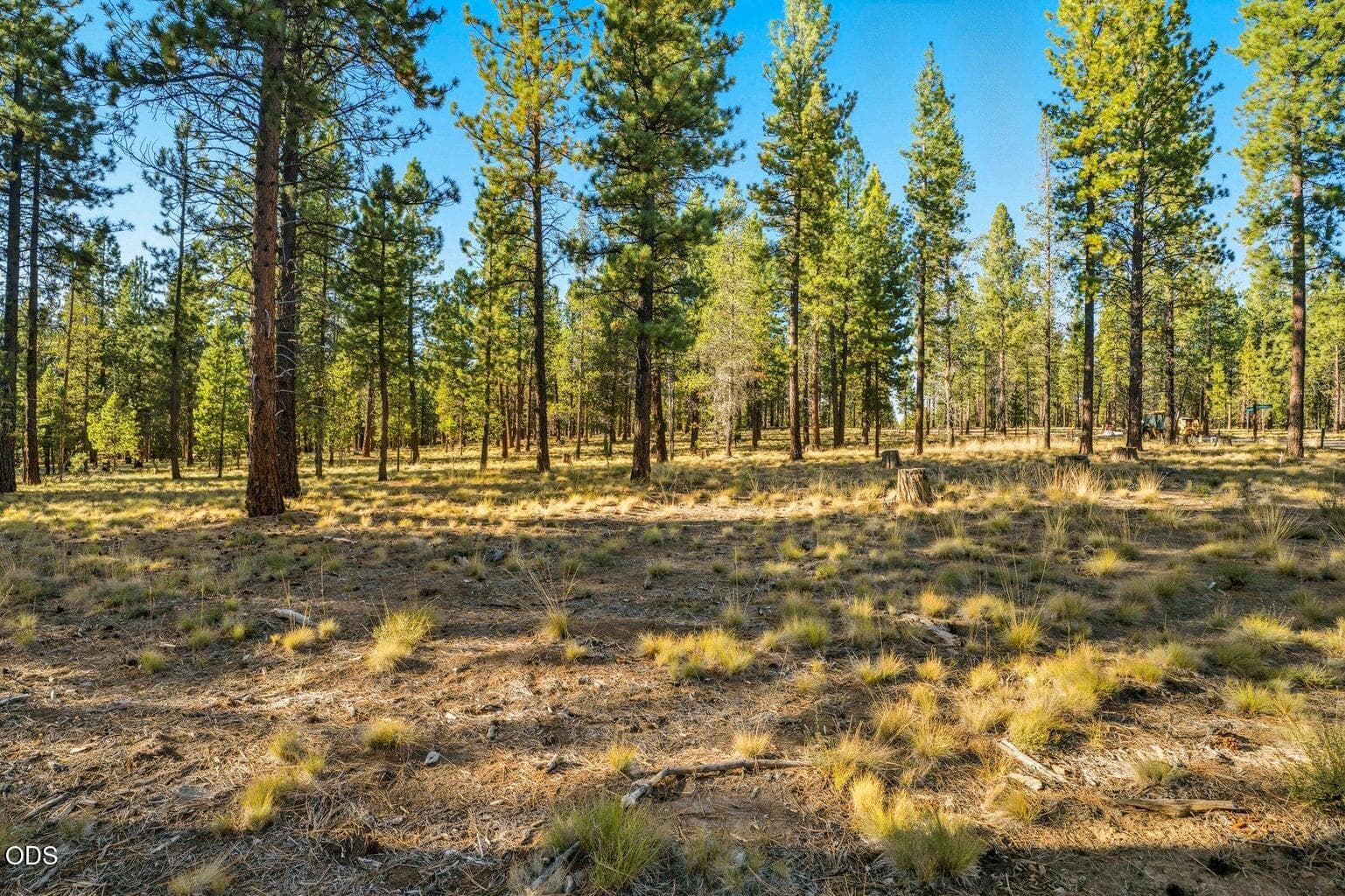Photo of 56577 Elk Run Drive 2 of 24
