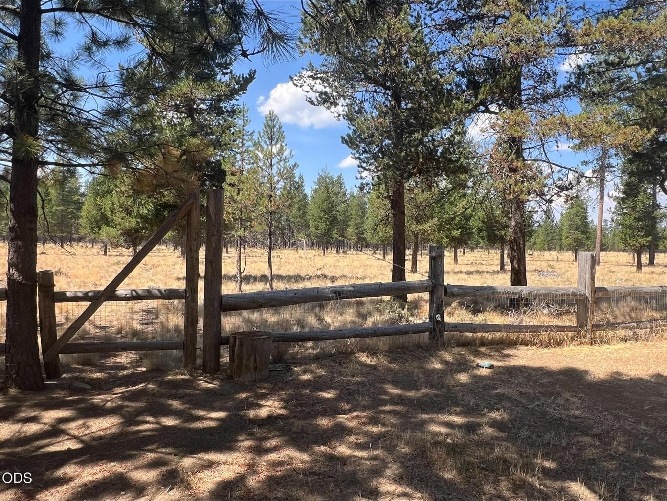 Photo of 52531 Lost Ponderosa Road 2 of 58