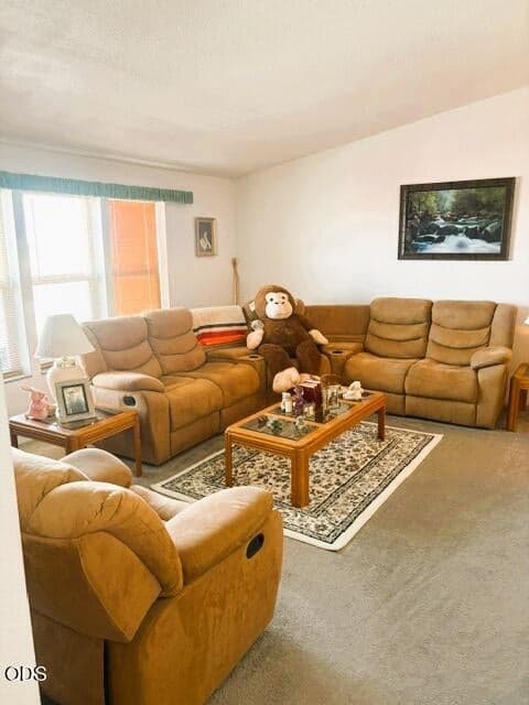 Large Living Room