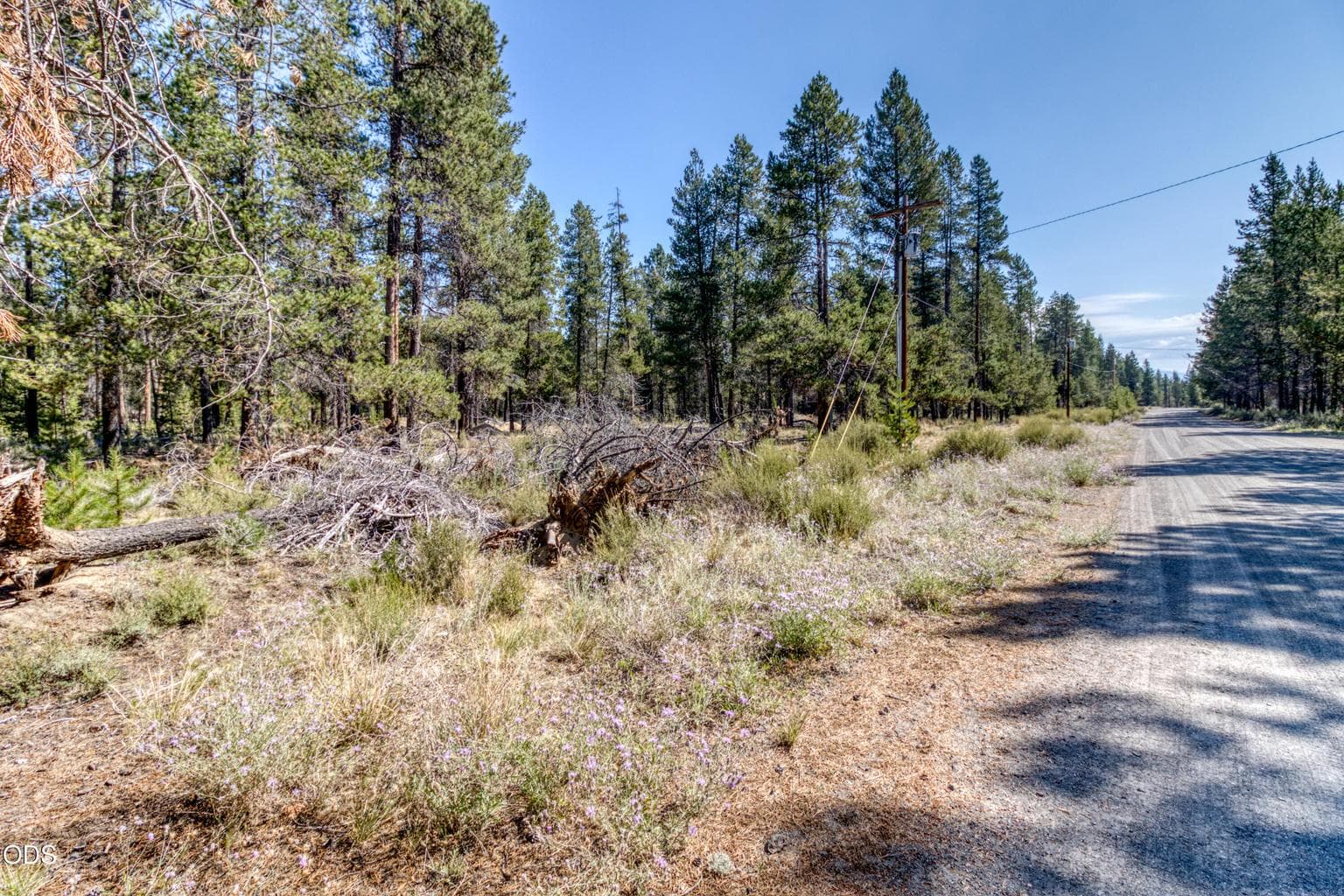 Photo of 16212 Green Forest Road 5 of 15