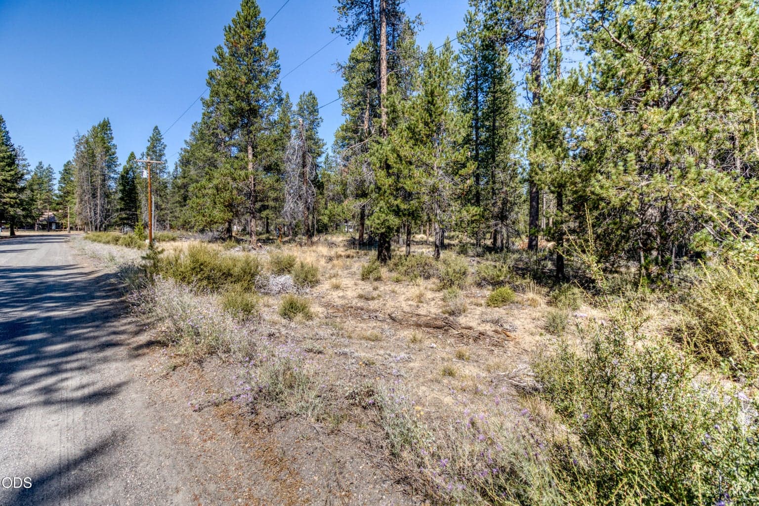 Photo of 16212 Green Forest Road 2 of 15