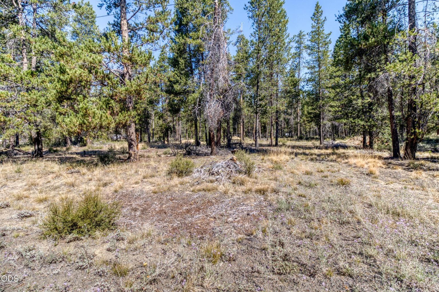 Photo of 16230 Green Forest Road 3 of 15