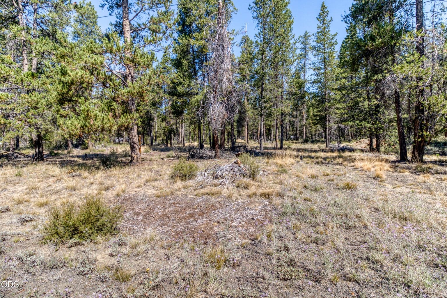 Photo of 16230 Green Forest Road 2 of 15