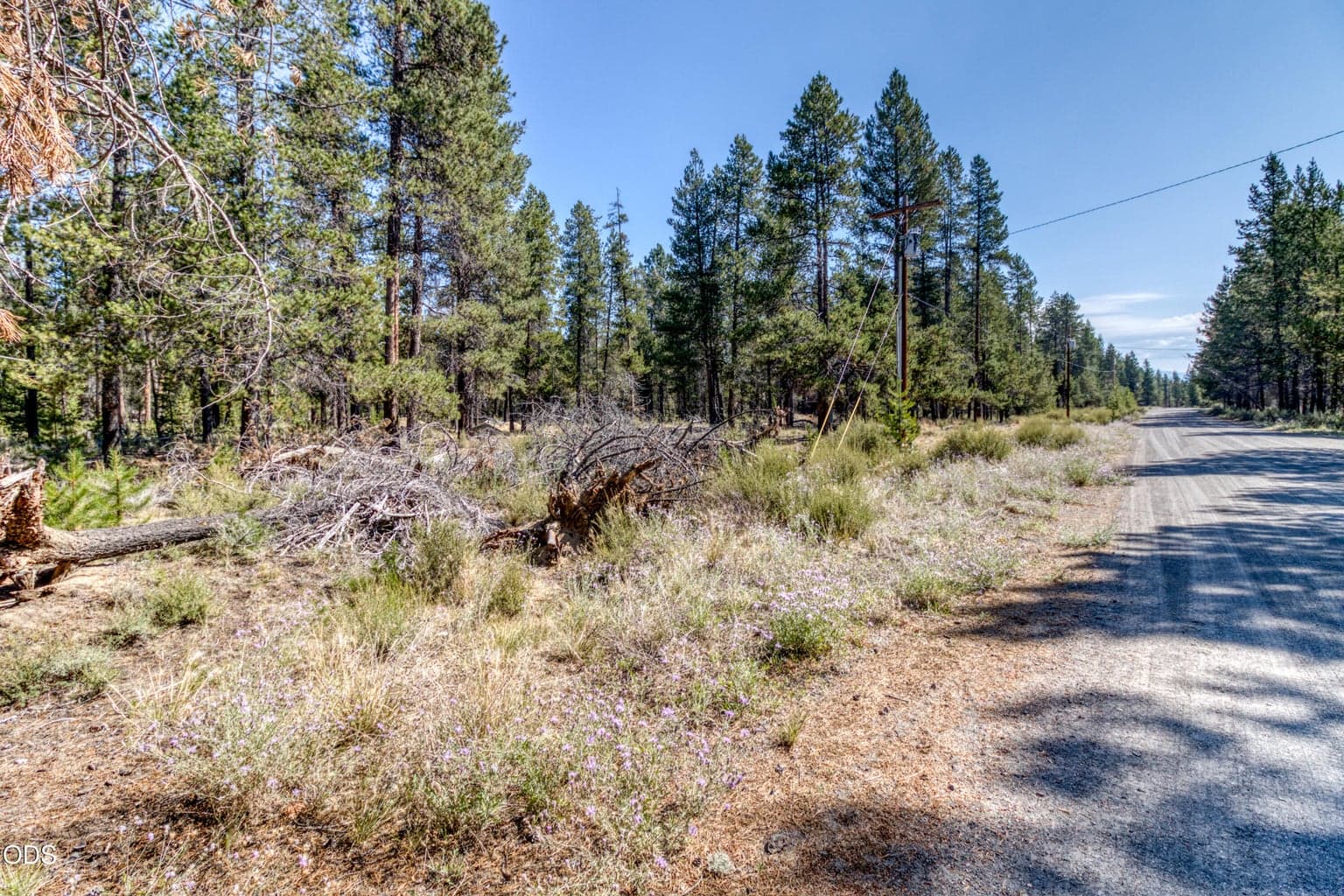 Photo of 16230 Green Forest Road 4 of 15