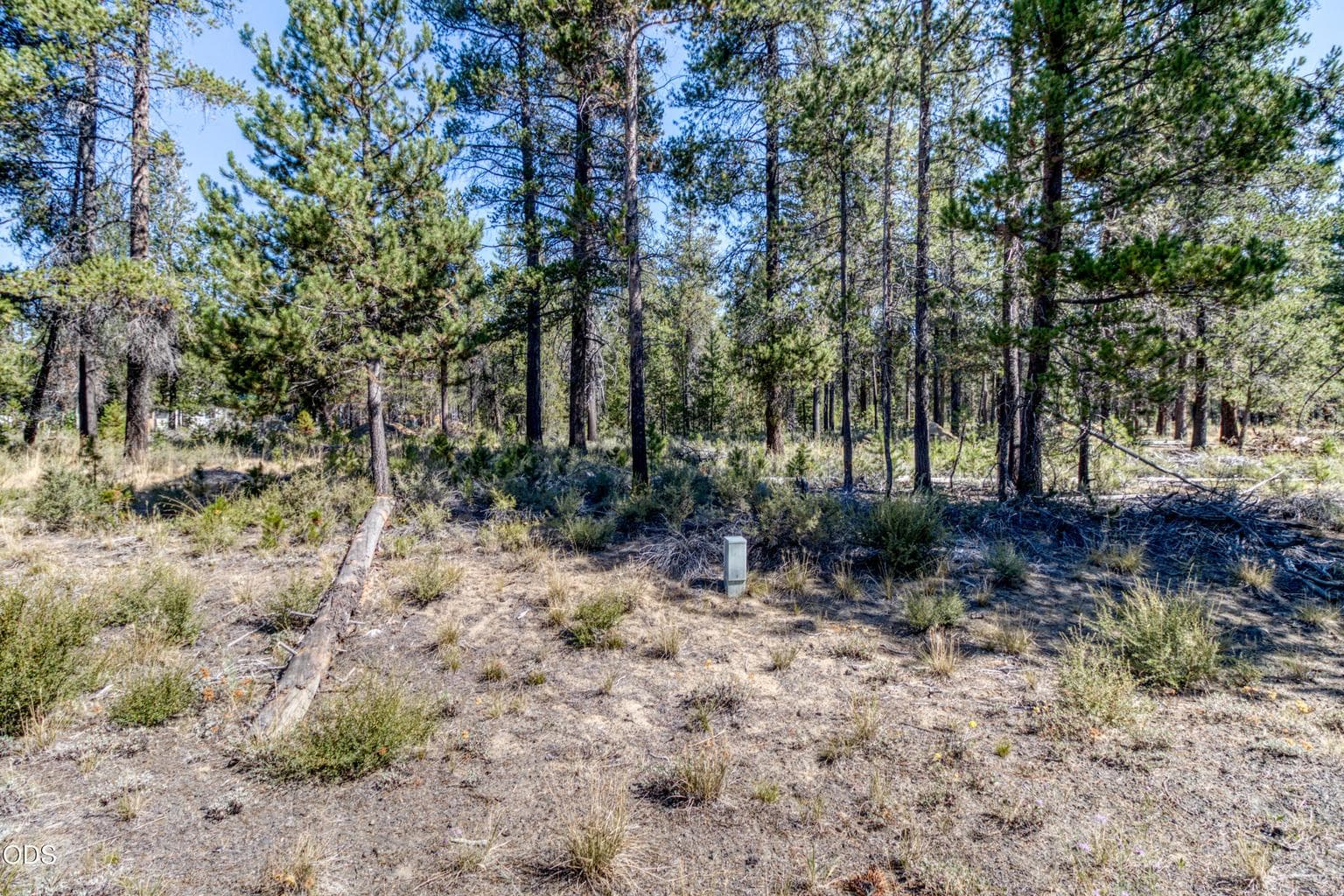 Photo of 16230 Green Forest Road 5 of 15