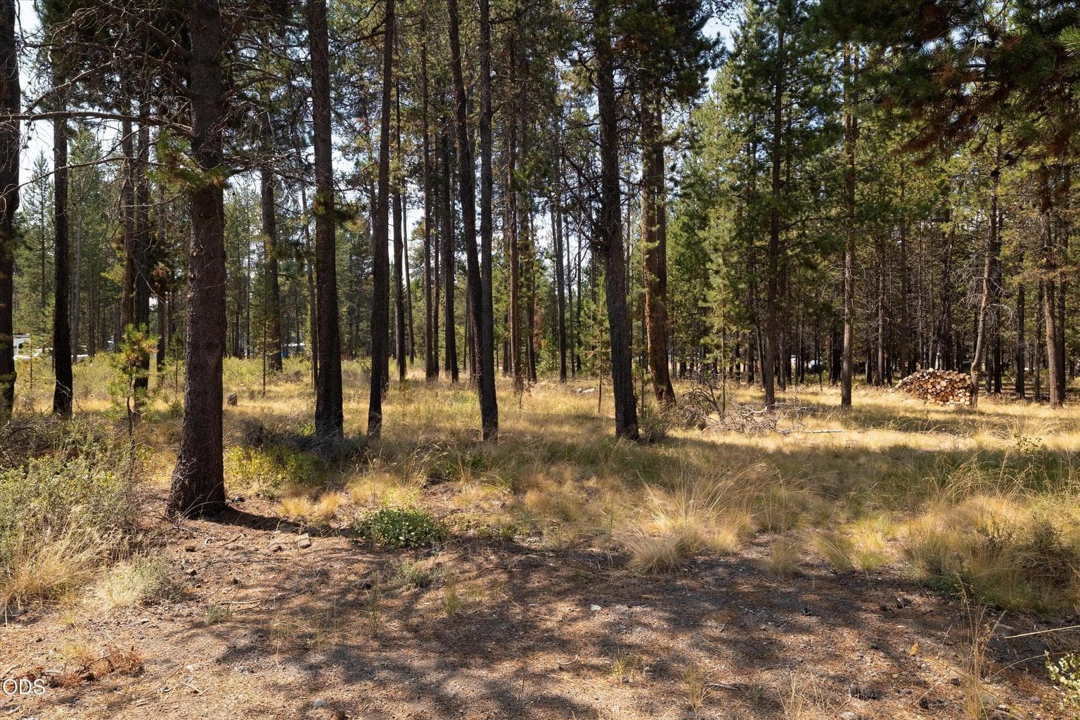 Photo of 17092 Merced Road 5 of 10