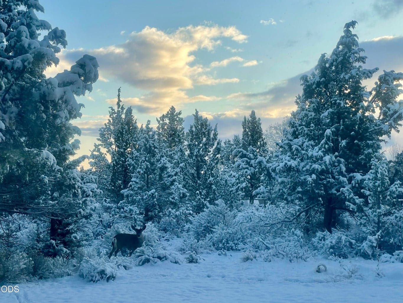 View from Community Park