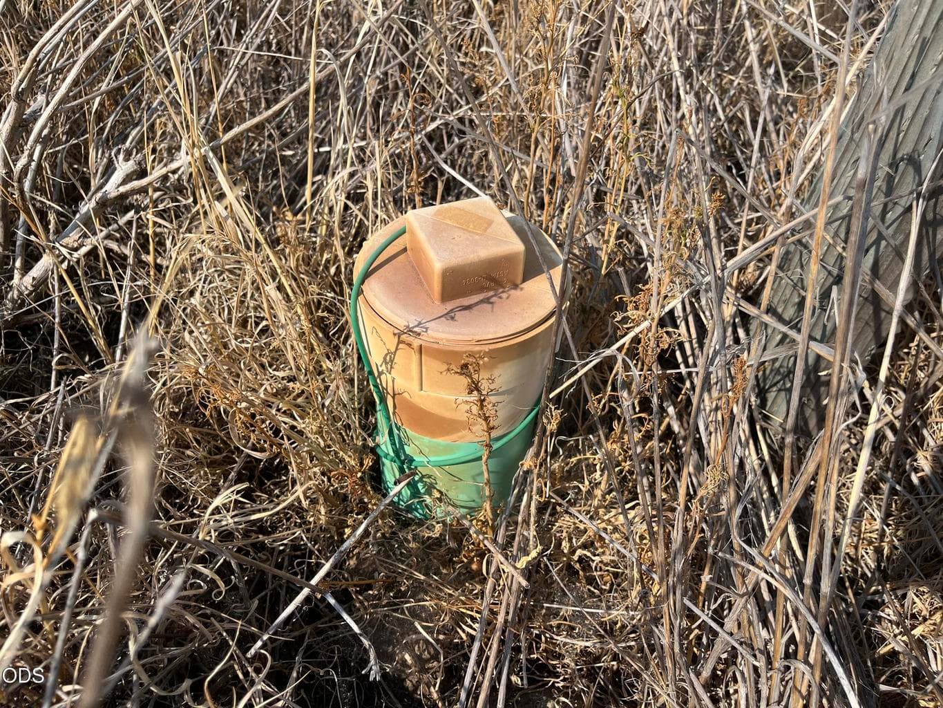 4" sewer