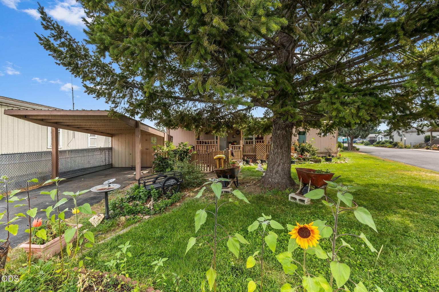 Photo of 185 Harwood Street 2 of 27