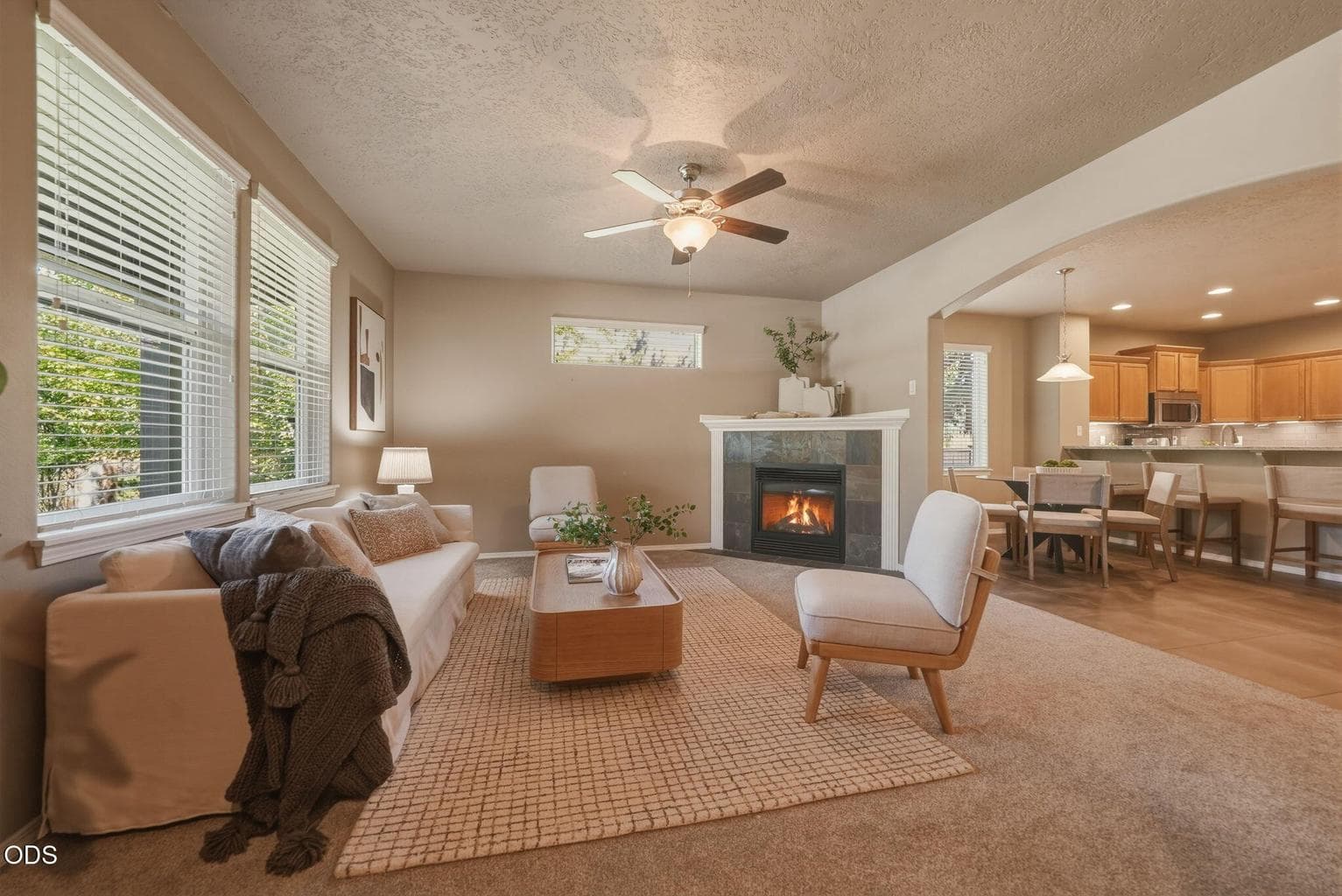 Gas Fireplace