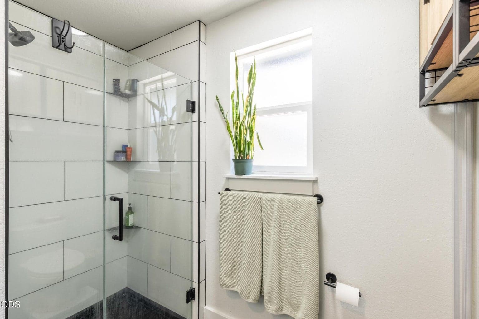 Master Tile Shower