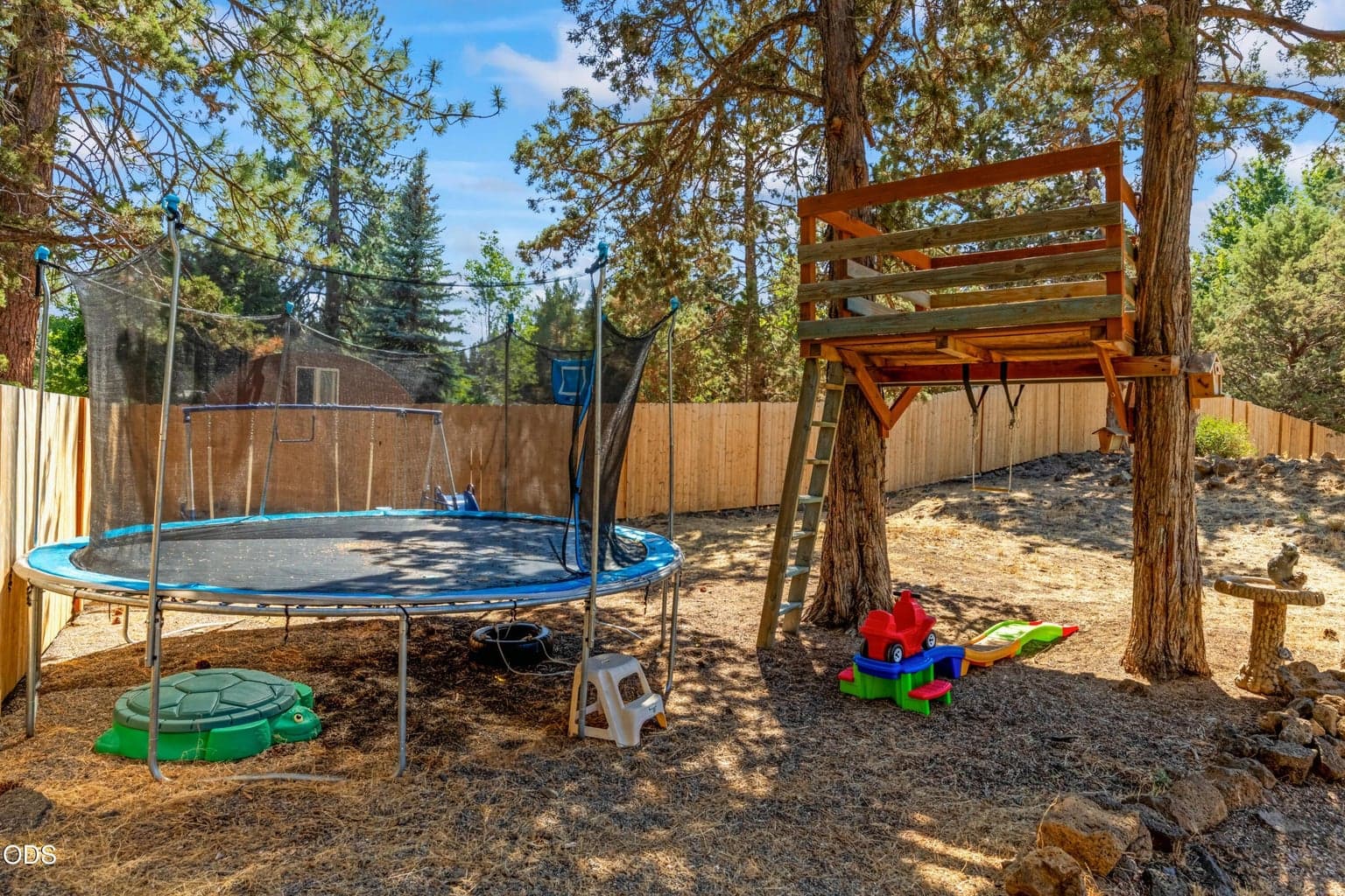Backyard with Tree house