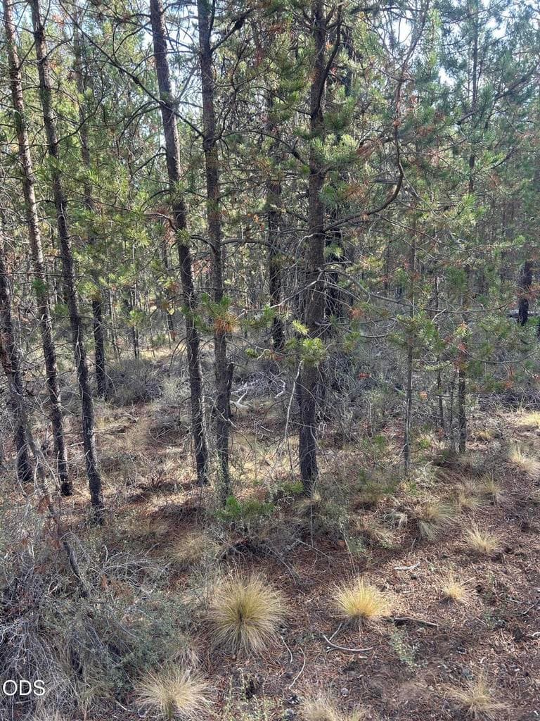 Photo of 15885 Leslie Drive 2 of 2