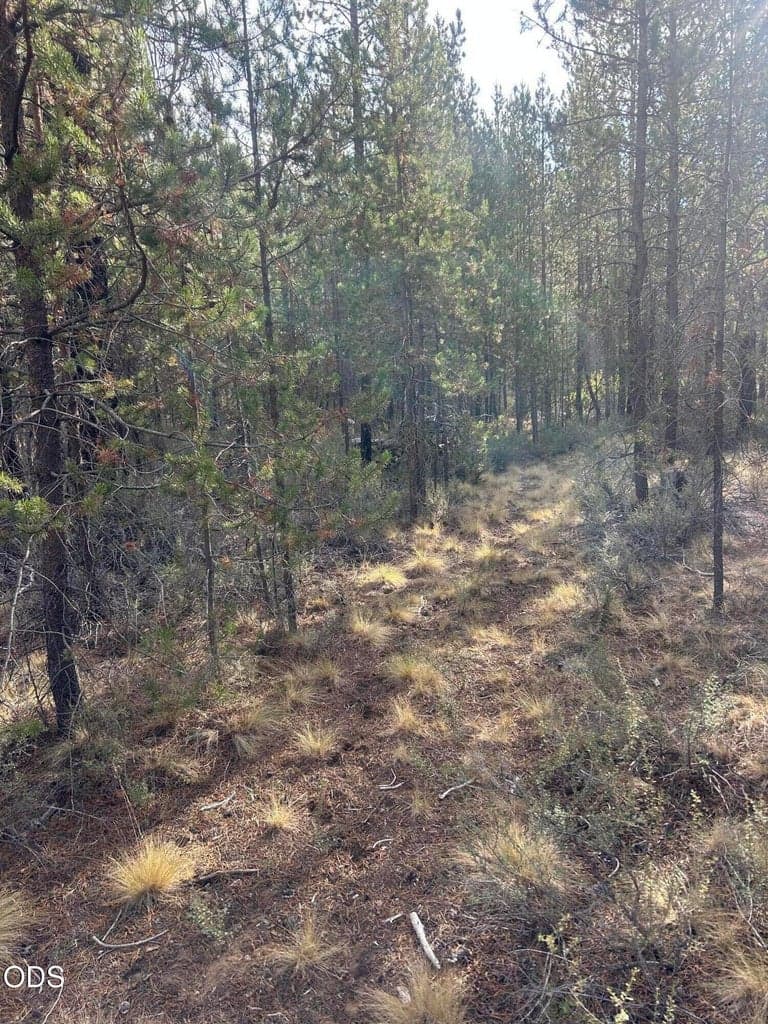Photo of 15885 Leslie Drive 1 of 2