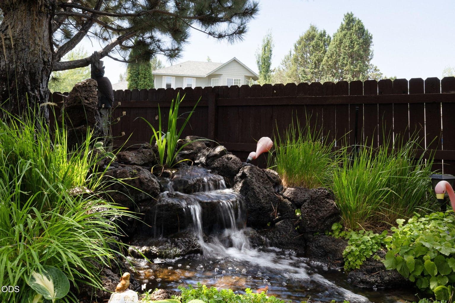 Photo of 2462 Lynda Lane 3 of 42
