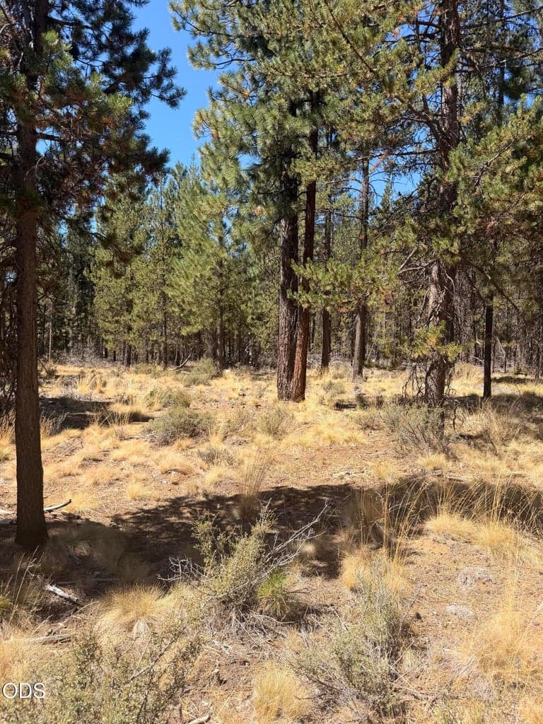 Photo of 56031 Savage Road 6 of 6