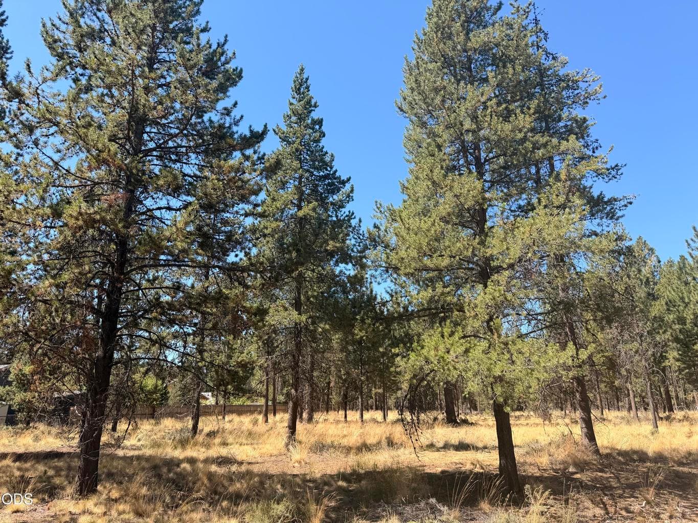 Photo of 56031 Savage Road 1 of 6