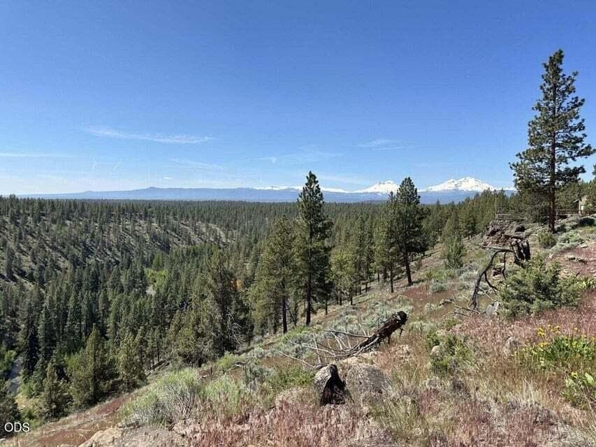 Photo of 17127 Mountain View Road 5 of 20
