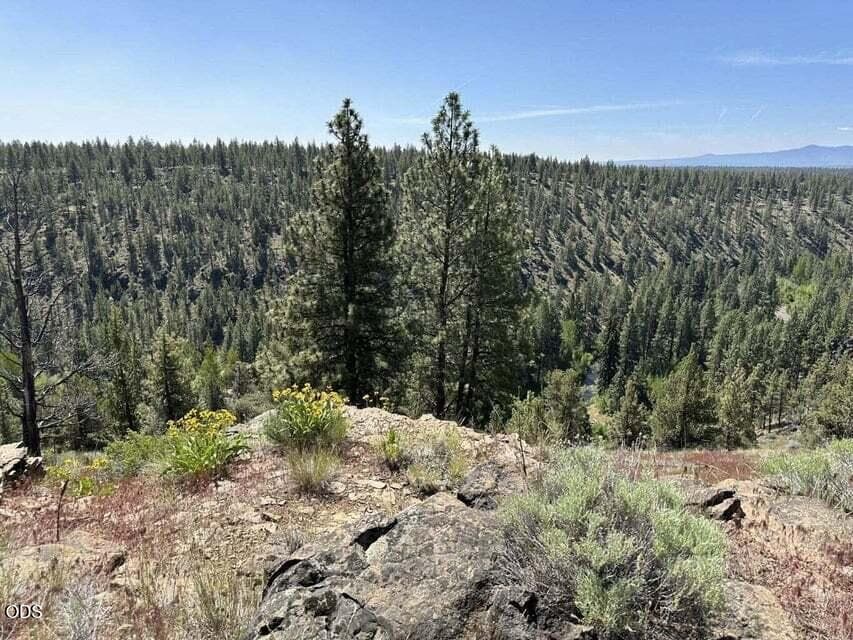 Photo of 17127 Mountain View Road 6 of 20