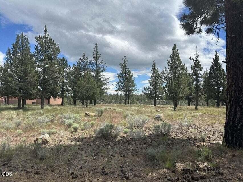 Photo of 17127 Mountain View Road 8 of 20