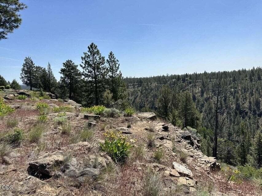 Photo of 17127 Mountain View Road 10 of 20