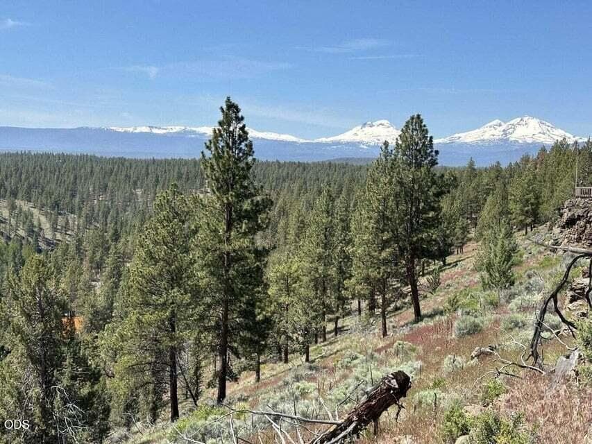 Photo of 17127 Mountain View Road 11 of 20