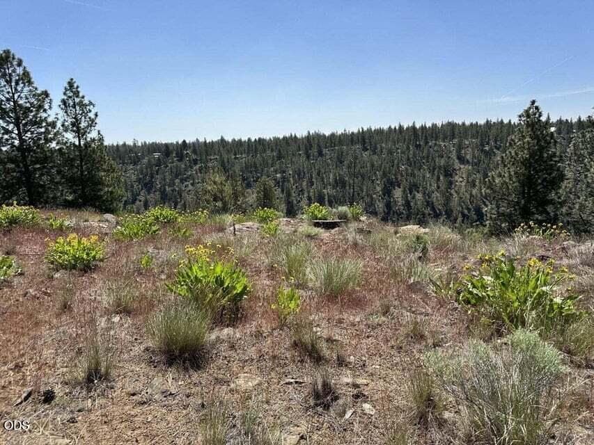 Photo of 17127 Mountain View Road 12 of 20